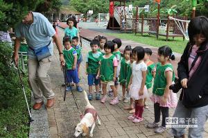 檢疫犬偵測褐根病 到溪山當樹醫生-中時電子報，開新視窗