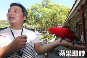 《魯冰花》小學就在北市　幸福小校由貓、狗和鸚鵡巡堂，開新視窗