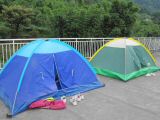 IMG_2495-800.jpg