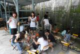 IMG_7933-800.jpg